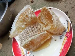 প্রাকৃতিক স্বাস্থ্য - Best Tech & Gadgets in BD | ElectroBaz প্রাকৃতিক স্বাস্থ্য | Best Electronics Store BD - ElectroBaz