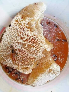 প্রাকৃতিক স্বাস্থ্য - Best Tech & Gadgets in BD | ElectroBaz প্রাকৃতিক স্বাস্থ্য | Best Electronics Store BD - ElectroBaz