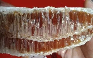 প্রাকৃতিক স্বাস্থ্য - Best Tech & Gadgets in BD | ElectroBaz প্রাকৃতিক স্বাস্থ্য | Best Electronics Store BD - ElectroBaz