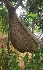 প্রাকৃতিক স্বাস্থ্য - Best Tech & Gadgets in BD | ElectroBaz প্রাকৃতিক স্বাস্থ্য | Best Electronics Store BD - ElectroBaz