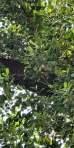 প্রাকৃতিক স্বাস্থ্য - Best Tech & Gadgets in BD | ElectroBaz প্রাকৃতিক স্বাস্থ্য | Best Electronics Store BD - ElectroBaz