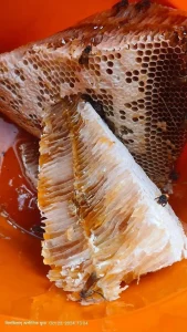 প্রাকৃতিক স্বাস্থ্য - Best Tech & Gadgets in BD | ElectroBaz প্রাকৃতিক স্বাস্থ্য | Best Electronics Store BD - ElectroBaz