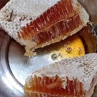 প্রাকৃতিক স্বাস্থ্য - Best Tech & Gadgets in BD | ElectroBaz sundarban-pure-honey (10)