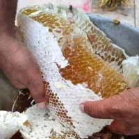 প্রাকৃতিক স্বাস্থ্য - Best Tech & Gadgets in BD | ElectroBaz sundarban-pure-honey (14)