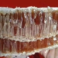প্রাকৃতিক স্বাস্থ্য - Best Tech & Gadgets in BD | ElectroBaz sundarban-pure-honey (16)