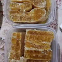 প্রাকৃতিক স্বাস্থ্য - Best Tech & Gadgets in BD | ElectroBaz sundarban-pure-honey (9)